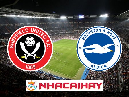 Soi kèo nhà cái Sheffield Utd vs Brighton – 21h00 – 18/02/2024